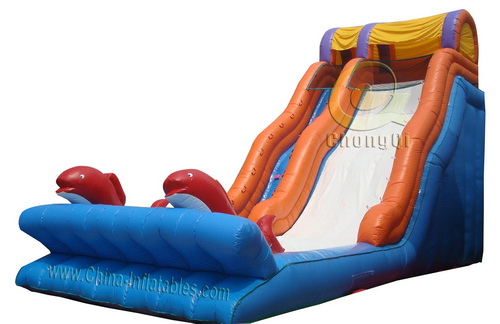 giant adult inflatable slide